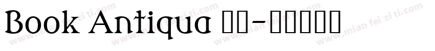 Book Antiqua 常规字体转换